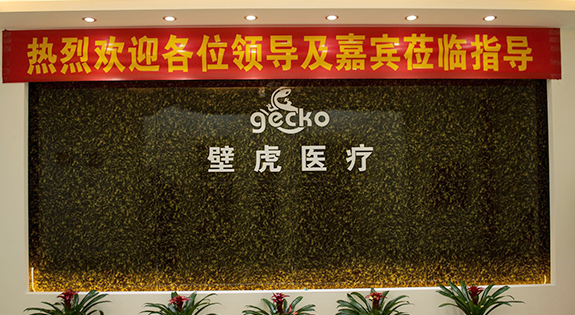 壁虎醫(yī)療